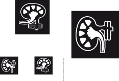 Piktogramm Nephrologie